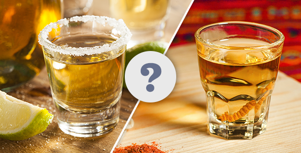 tequila vs mezcal: what is the difference?