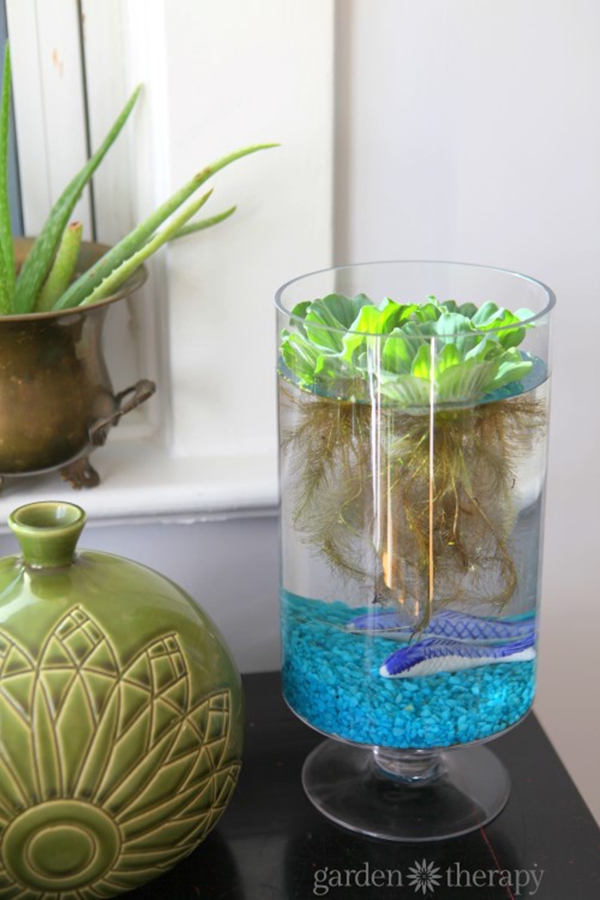 40 Brilliant Indoor Water Garden Ideas