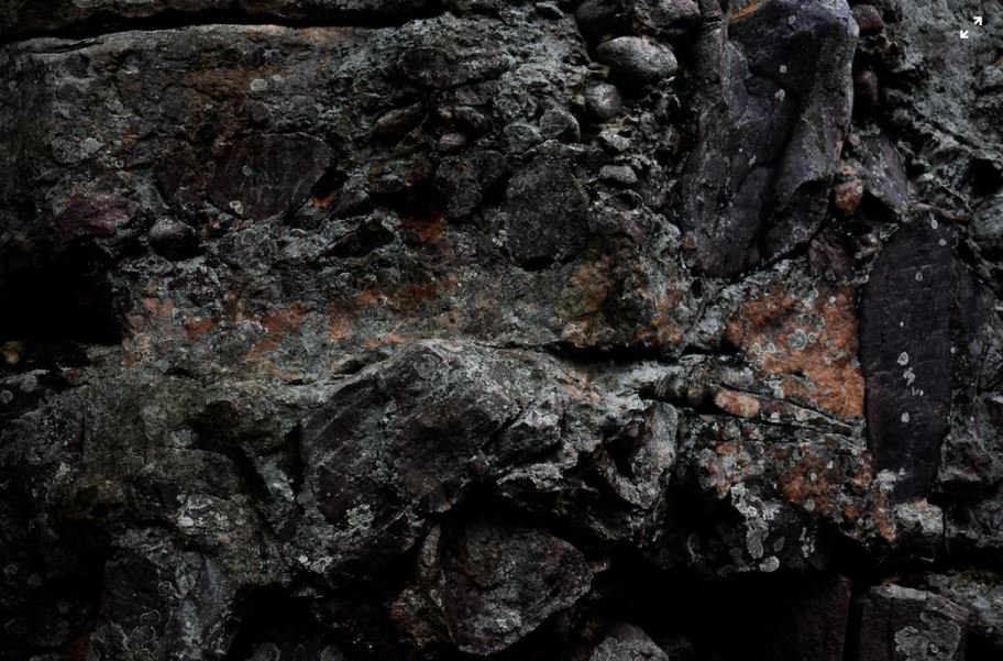 carboniferous period