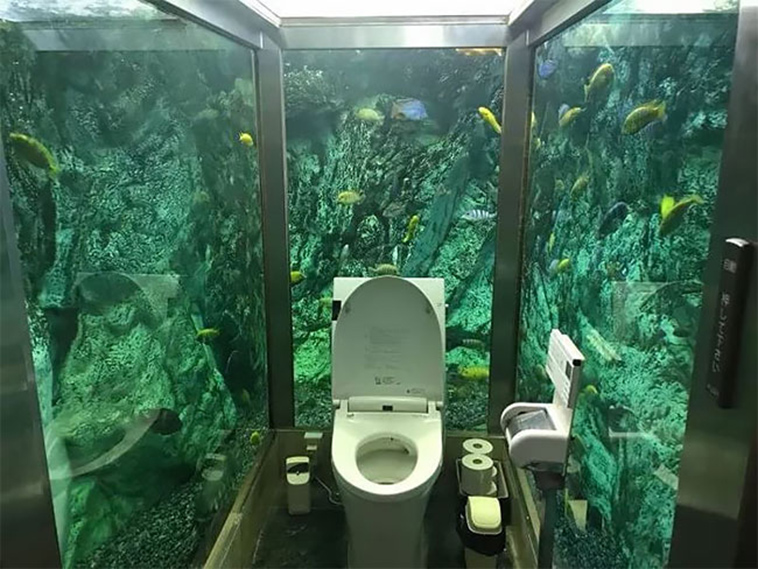 This Incredible Japanese Aquarium Toilet