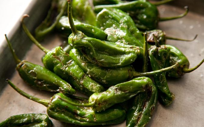 Grilled Shishito Pepper recipe