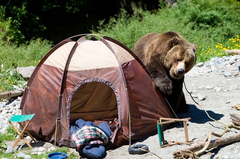 how to handle food and garbage while camping to keep animals away