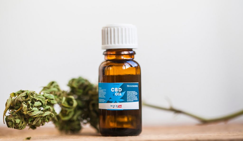 What Are CBD Foods and Why Are They Everywhere?