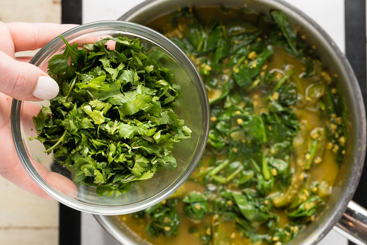 Palak paneer step 5 - Dr. Axe