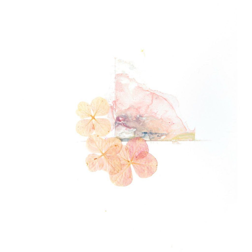 pressed flower with painted abstract | How To Press Flowers For Your Arts And Crafts Projects | how to press flowers | diy flower press