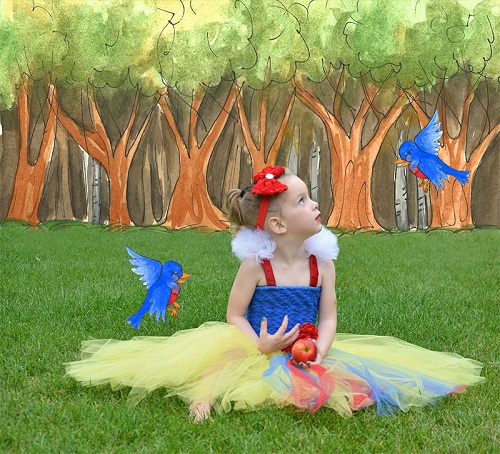 Tulle Snow White Costume | DIY Snow White Costume Ideas For Halloween | snow white costume | snow white costume diy