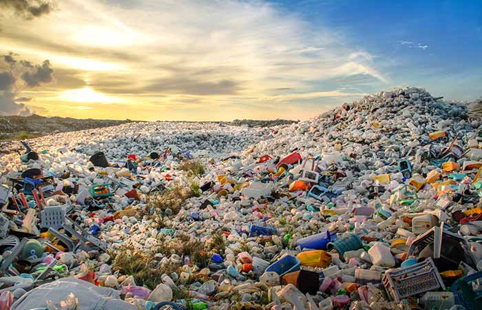 We all know that we are living in an extremely polluted environment right now