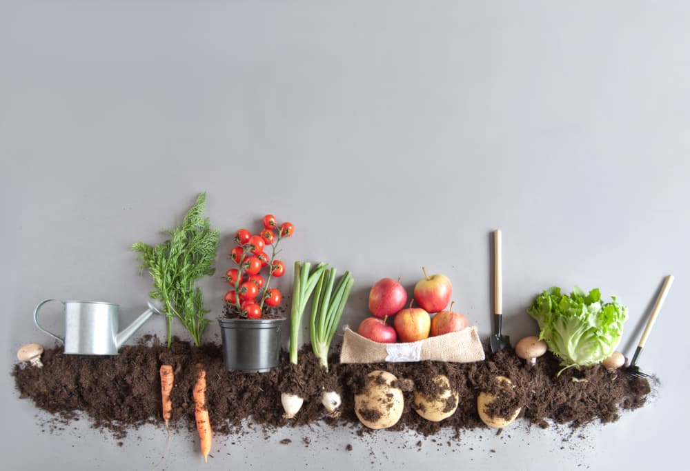 10 Natural Treatments to Treat Uterine Fibroids