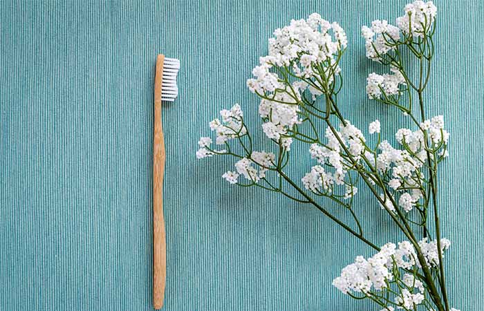 Bamboo Toothbrushes