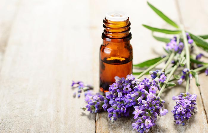 6 Effective Home Remedies For Spider Bites