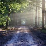 10 Ways a Silent Retreat Improves Your Mental Health