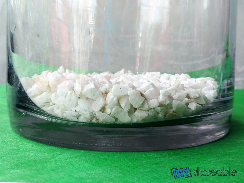 pebbles need to make DIY Succulent Terrarium