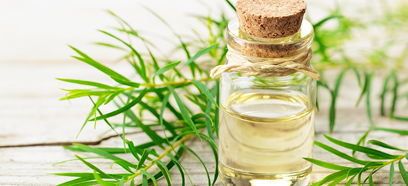 Tea tree oil for acne - Dr. Axe