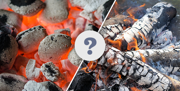 charcoal and wood: which is better for grilling?