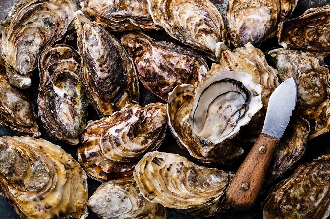 guide to different types of oysters