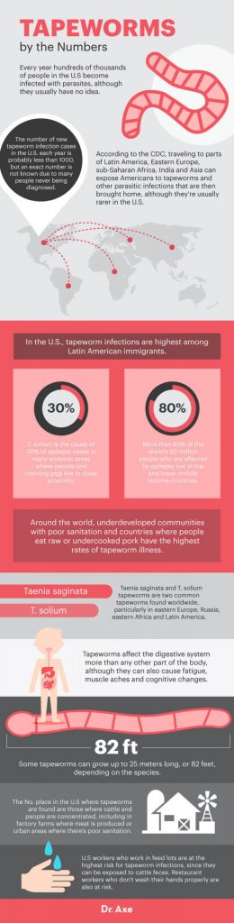 Tapeworm symptoms - Dr. Axe