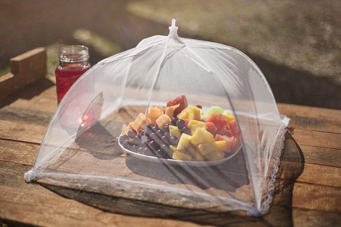 pop-up mesh net cover food protector to keep bugs off of food
