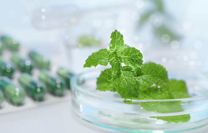 Peppermint Oil Capsules