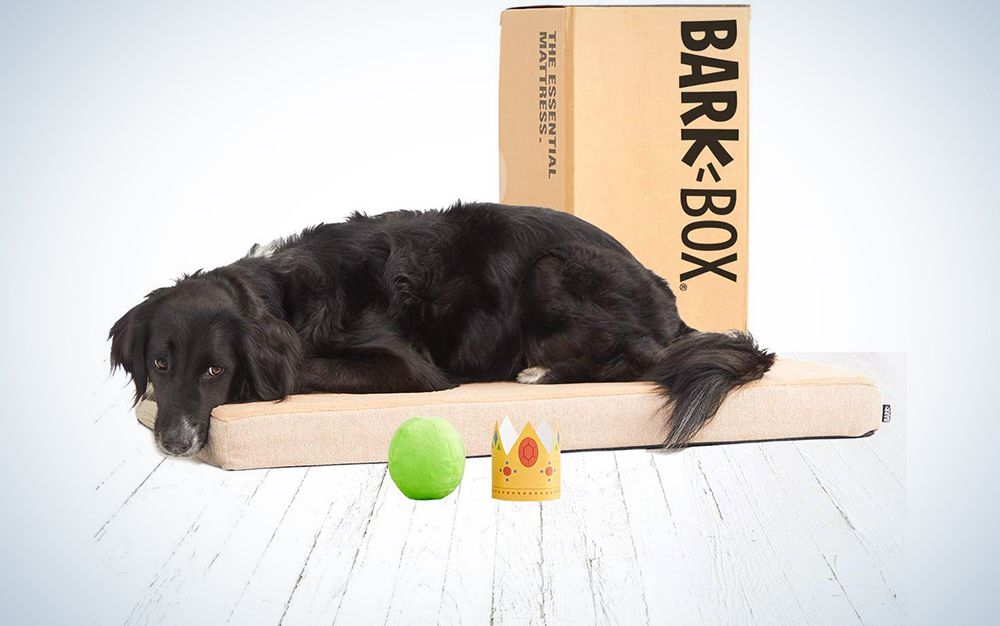 Comes with a squeaky sweet pea toy for your princess.