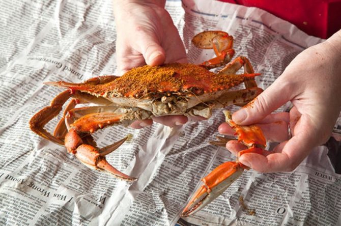 Maryland Steamed Blue Crabs