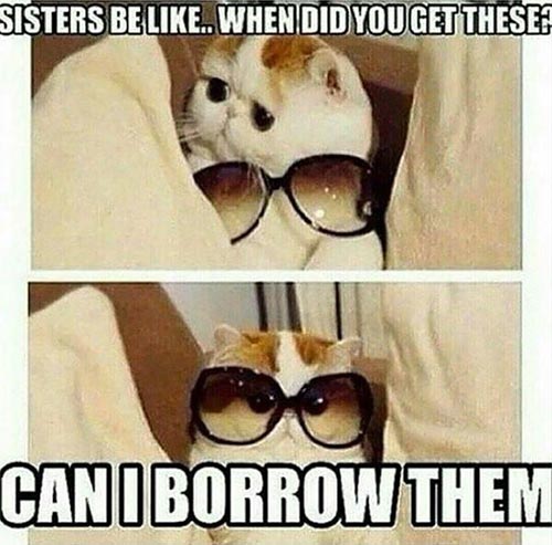 This Is Cool! Can I Have It