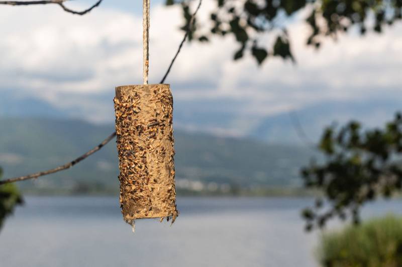 toilet paper bird feeder | Creative Crafts