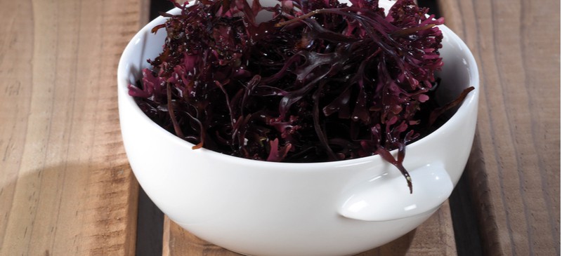 Sea moss benefits - Dr. Axe