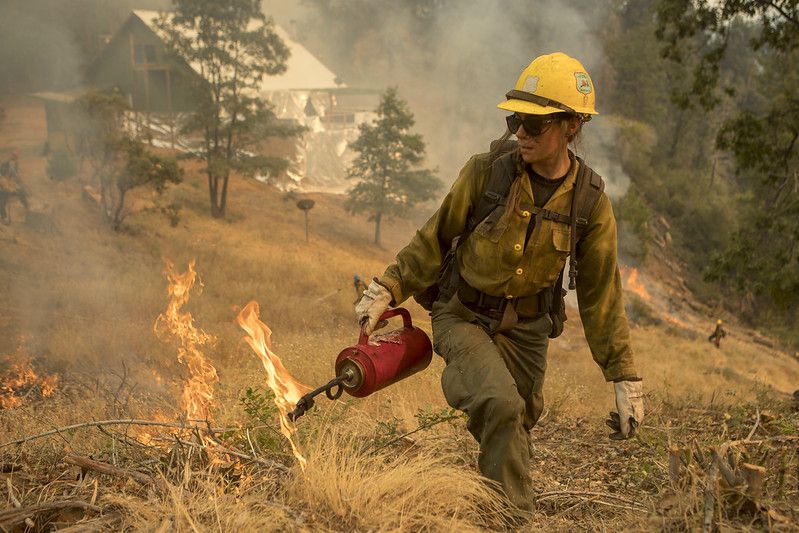 COVID-19 could make this year’s wildfire season more dangerous