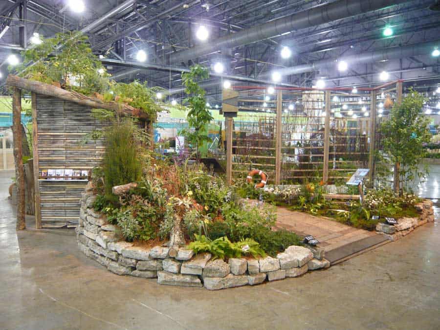 How to attract fireflies to your yard - Dr. Axe