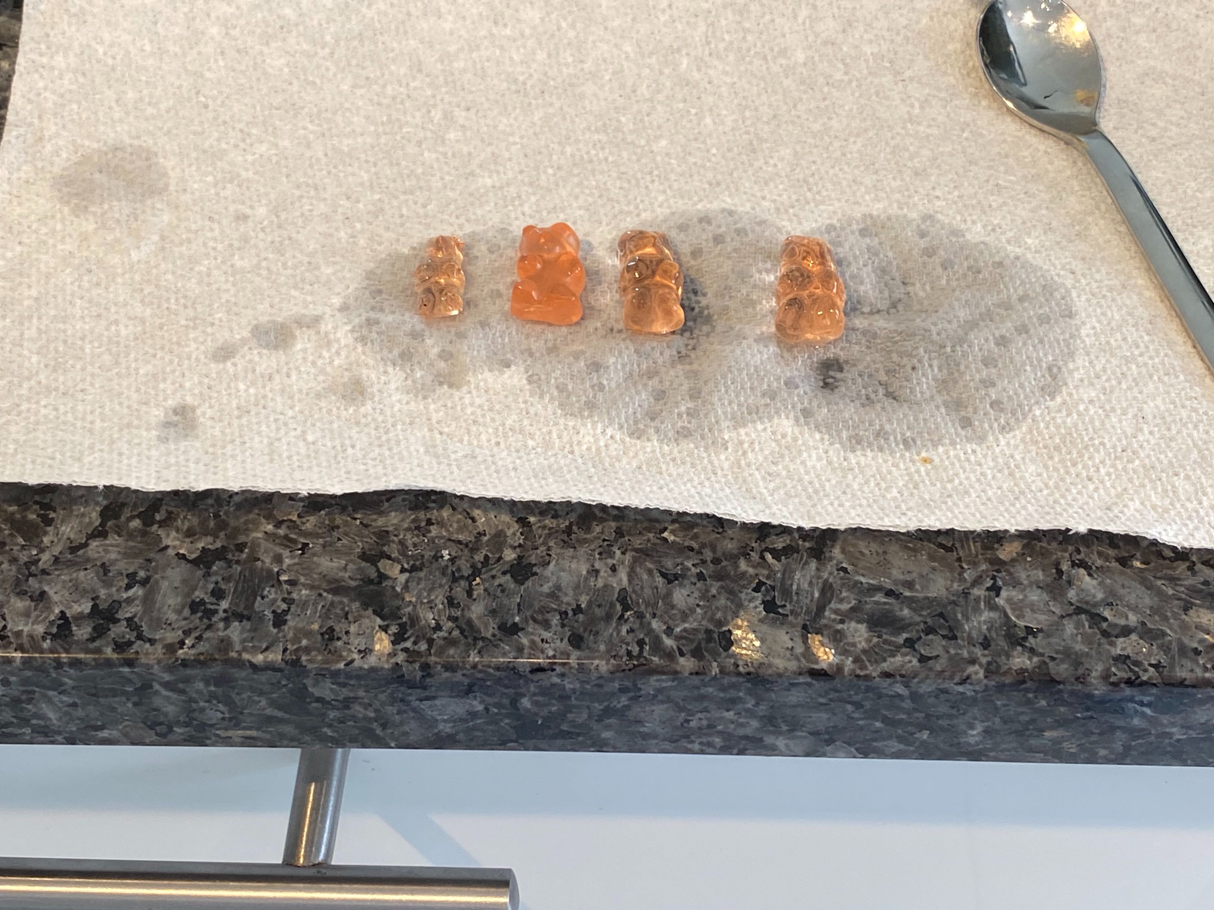 In one of our trials, extremely salty water actually made a bear shrink! From left to right: A salt-soaked bear, a dry gummy bear, and two bears soaked in water.