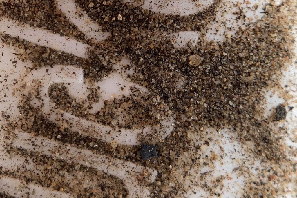 You can pick out individual grains of dirt in this photo taken at just 10x magnification.