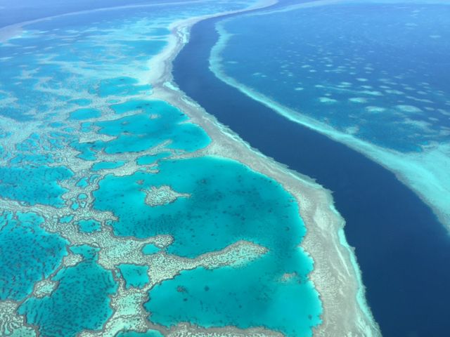 Hardy Reef in Queensland, Australia, which is still healthy and vibrant