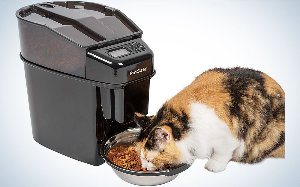 If you tend to be forgetful, this is the feeder for you.