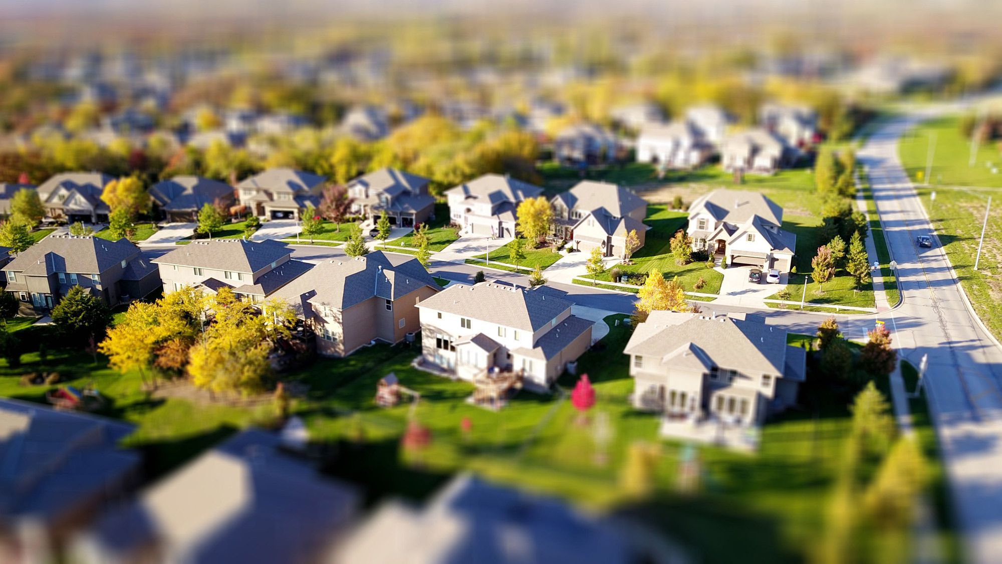 Cookie cutter-lawns can be traced back to the flight of rich Chicagoans, who were looking for a more tranquil, sprawled-out setting on the outskirts of the city.