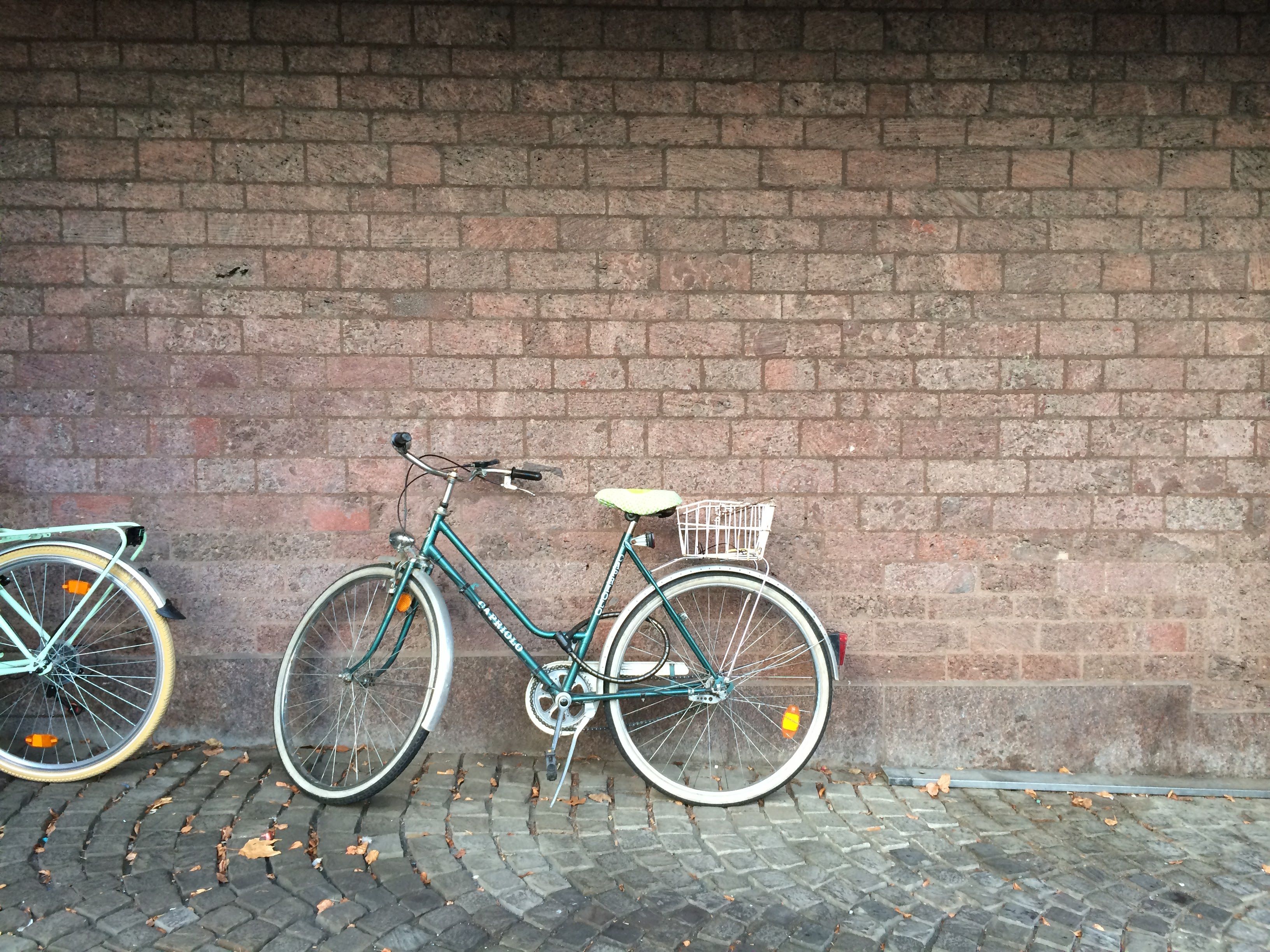 Old bikes can still have a lot of life left in them.