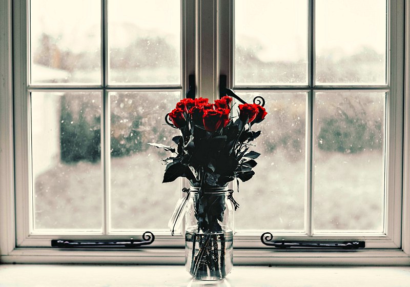 roses by the window | How To Make Your Own All Purpose Cleaner That Actually Works | diy multi purpose cleaner