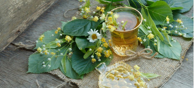 Linden tea - Dr. Axe