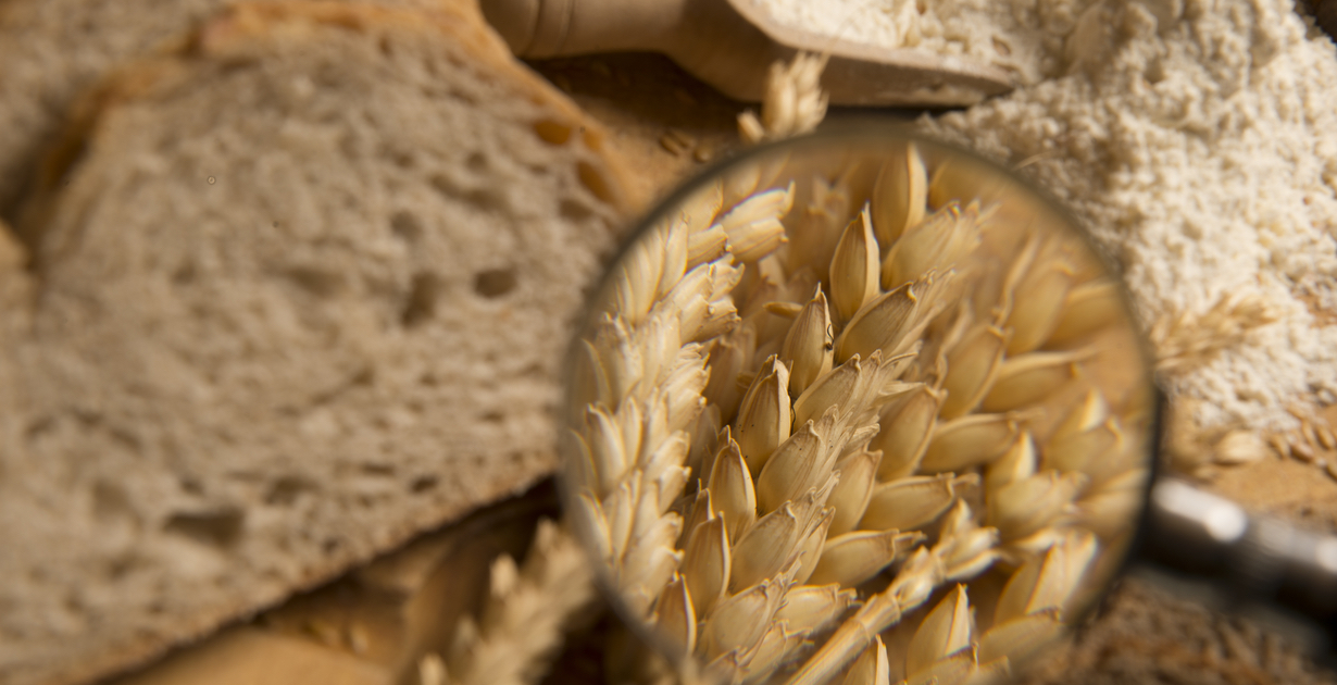 Factor in celiac disease - Dr. Axe