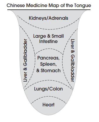 Chinese medicine map of the tongue