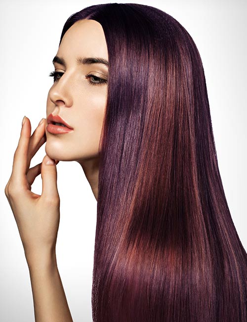 Brown And Deep Lavender