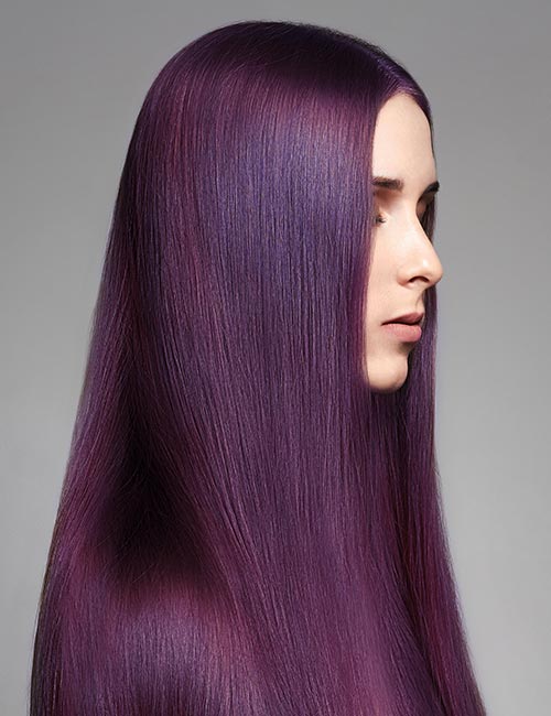 Deep Plum Purple