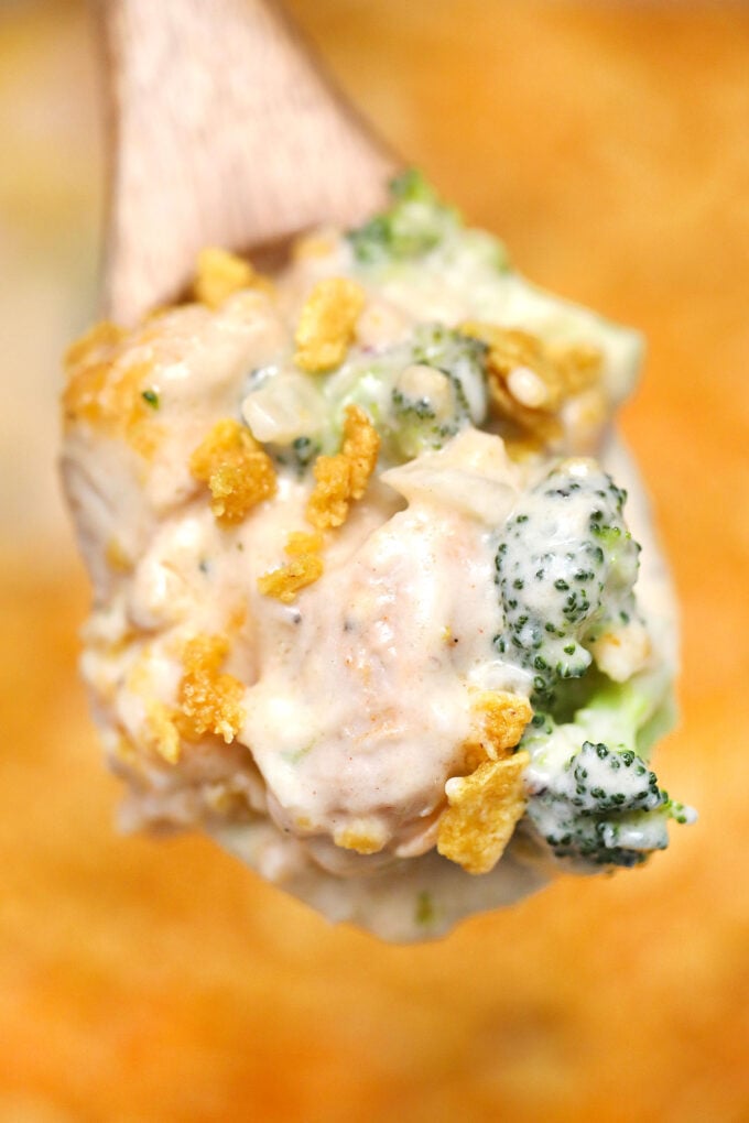 Picture of creamy chicken divan.