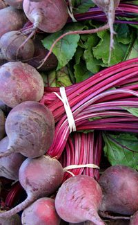 beets