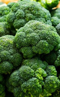 broccoli